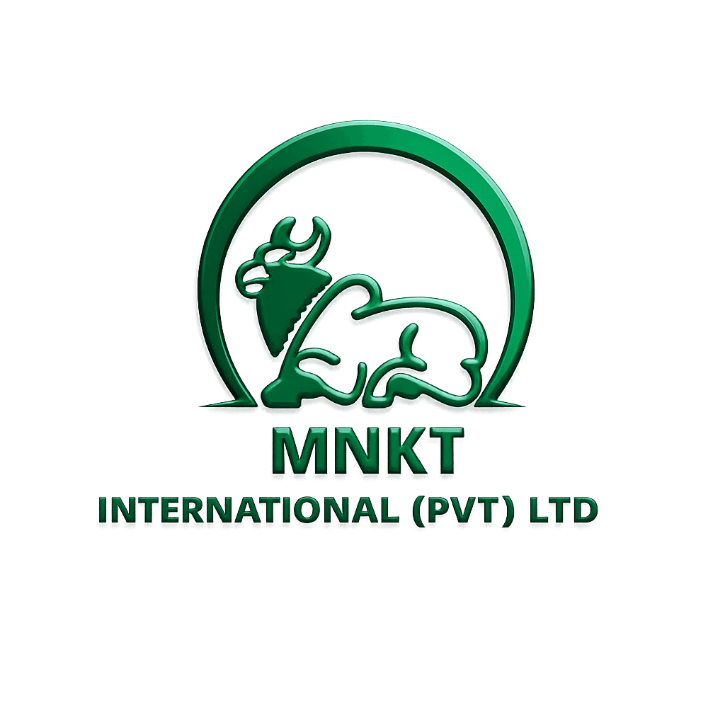 MNKT International